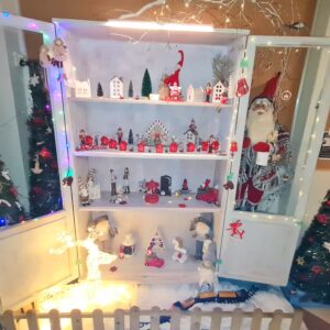 IMG-20221204-WA0011